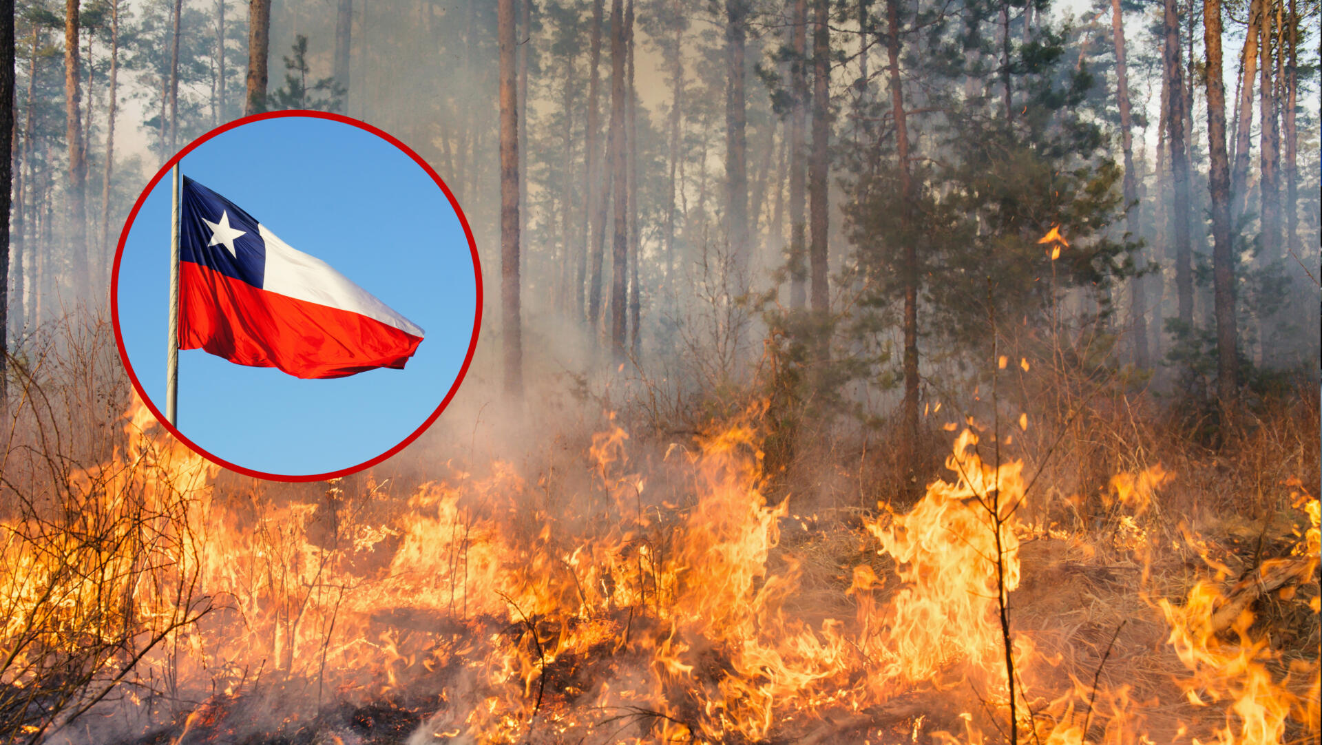 En Chile incendio forestal deja al menos 7 heridos