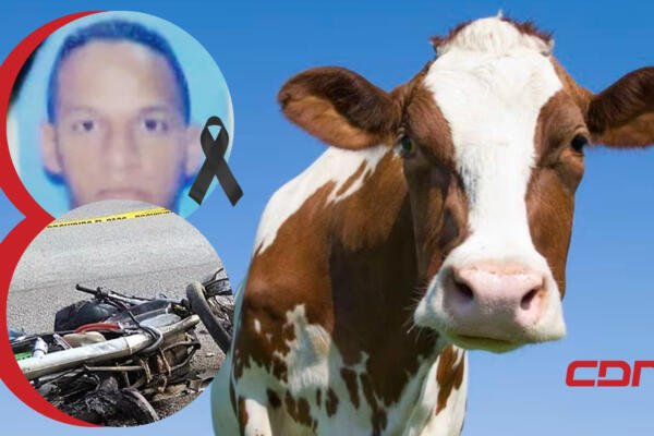 Santos Peña Cáceres murió al chocar con una vaca. (Foto: CDN Digital)