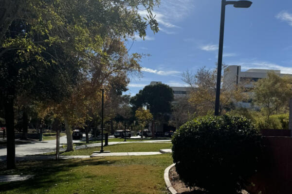 Universidad de Nevada, en Las Vegas (EE.UU.). Foto: fuente externa