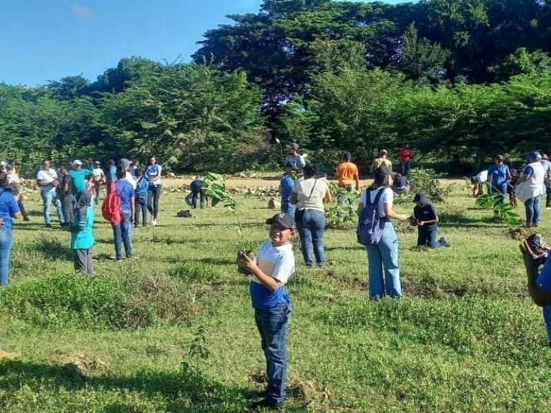 Coraapplata realiza jornada de reforestación en cuenca del río Bajabonico