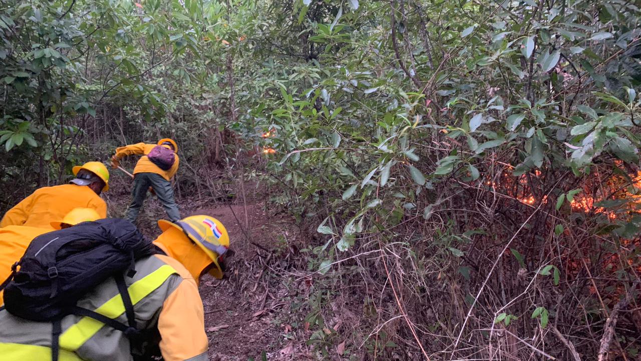 Bomberos forestales combaten un incendio en Loma Novillero.(CDN digital).