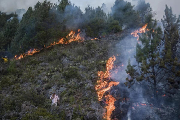 682 de los 1.101 municipios colombianos están en alerta roja por riesgo de conflagraciones. Foto: Fuente externa