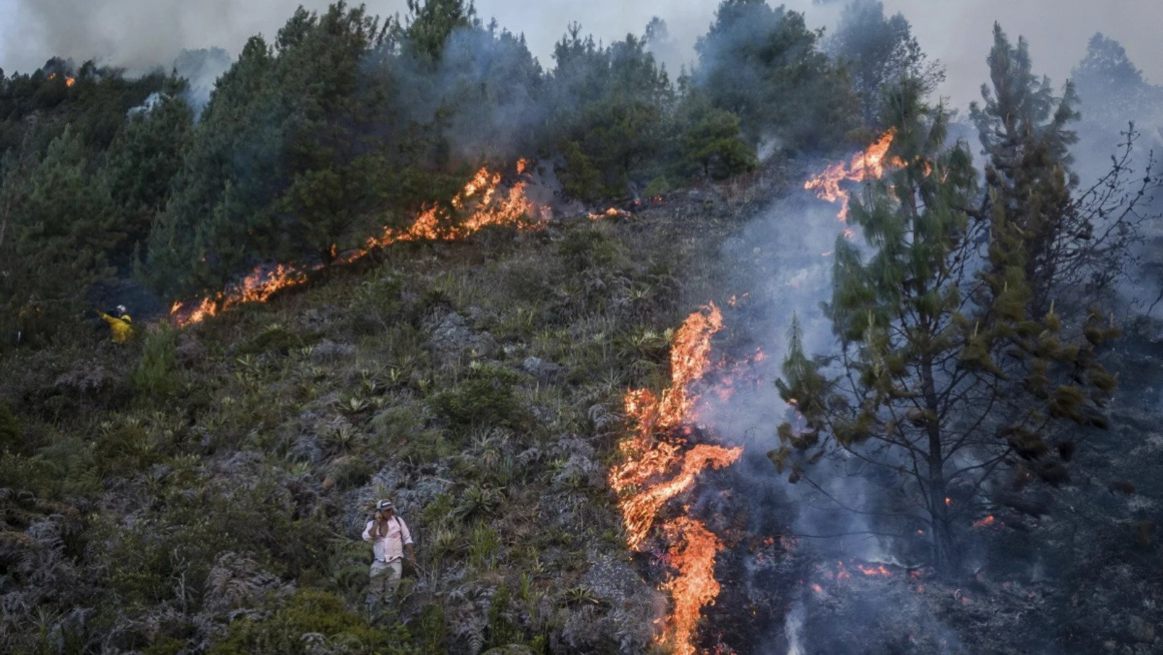 682 de los 1.101 municipios colombianos están en alerta roja por riesgo de conflagraciones. Foto: Fuente externa