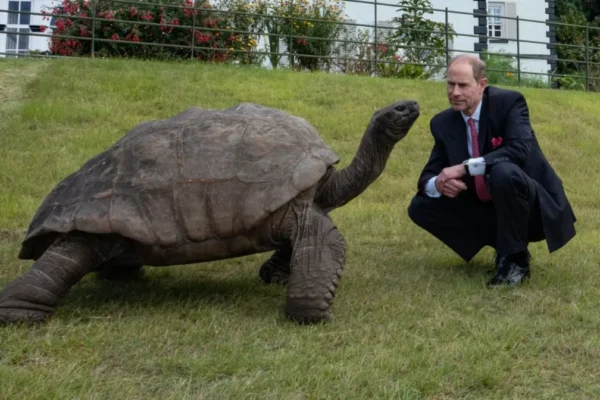 El príncipe Eduardo se encontró con una tortuga de 195 años que conoció a su abuelo, el rey Jorge VI