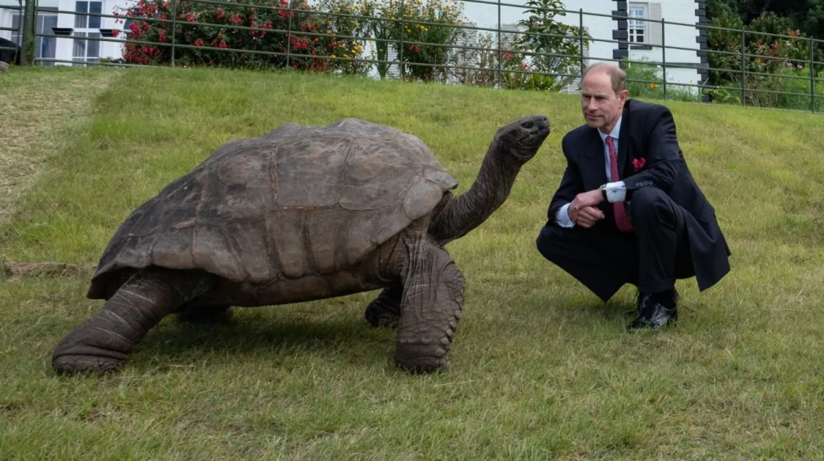 El príncipe Eduardo se encontró con una tortuga de 195 años que conoció a su abuelo, el rey Jorge VI