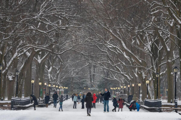 Central Park se viste de blanco tras nevada. Foto: Fuente externa