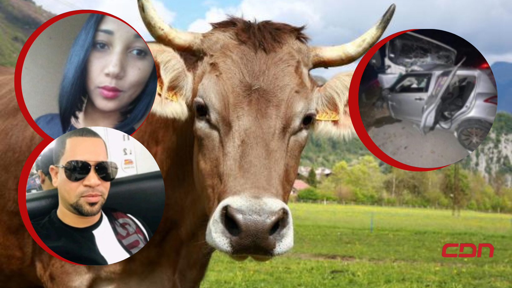 Dos personas fallecidas tras chocar con una vaca