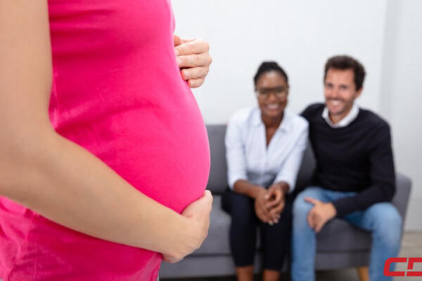 ¿Qué es la maternidad subrogada o vientre de alquiler? Fuente: Externa  