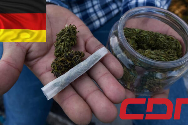 Queda legalizado por la  Cámara Baja del Parlamento alemán el consumo y posesión del cannabis. Foto: Fuente externa