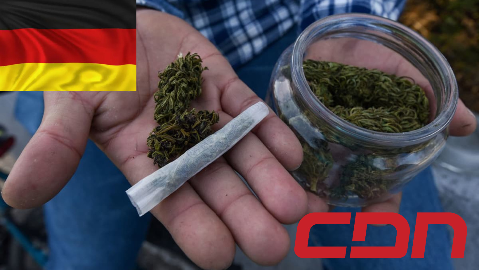 Queda legalizado por la Cámara Baja del Parlamento alemán el consumo y posesión del cannabis. Foto: Fuente externa