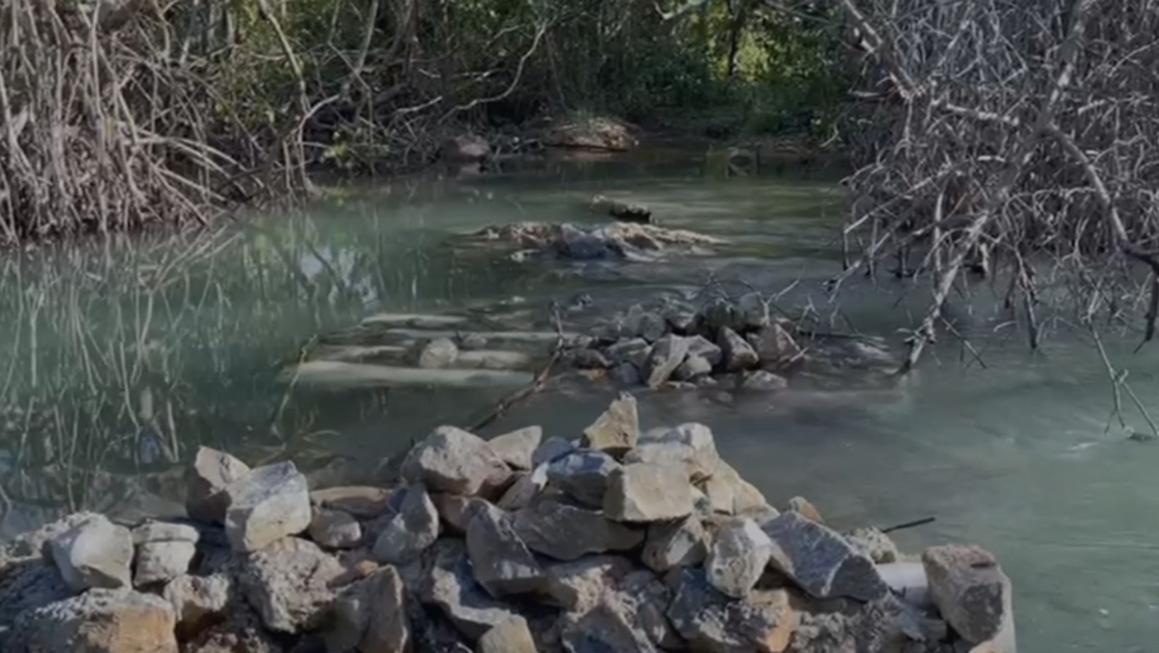 Medio Ambiente explica por qué se afectaron 223 tareas en el manglar de El Estillero, Samaná
