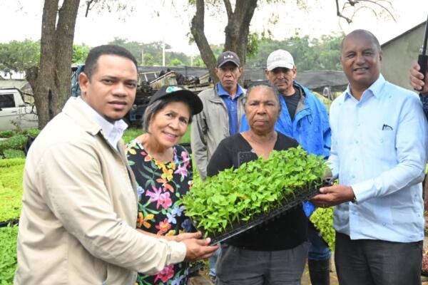 Productores mientras reciben las plantas de hortaliza. (Foto: fuente externa)