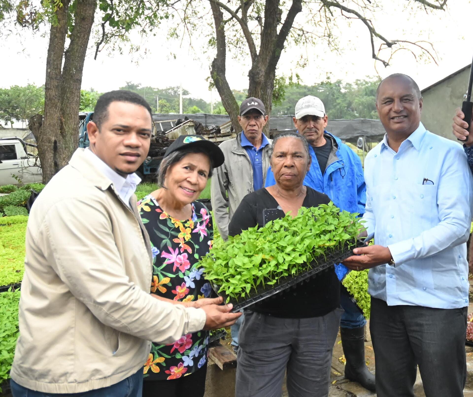 Productores mientras reciben las plantas de hortaliza