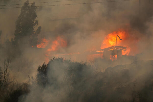 Casas arden en medio de la propagación de incendios forestales en Viña del Mar, Chile, el 3 de febrero de 2024. / Fuente externa.