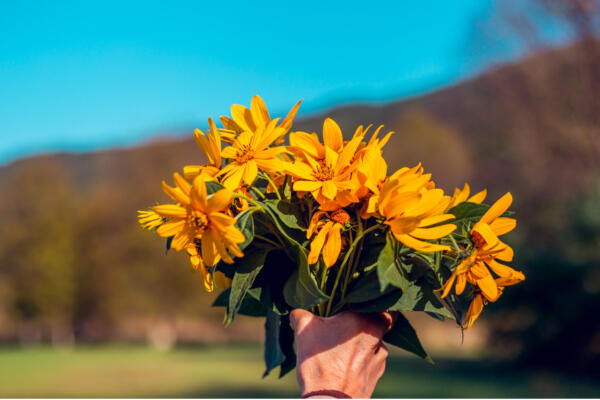 ¿Regalarás flores amarillas el 21 de marzo? te contamos el porqué de esta nueva tendencia