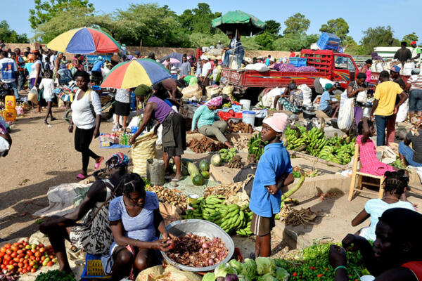 Autoridades dominicanas dicen ya están preparadas en favor de los agricultores y comerciantes. (Foto: Fuente externa)