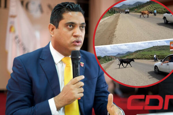 Kelvin Cruz, alcalde de la Vega que busca multar a dueños de animales que provoquen accidentes. Foto CDN Digital