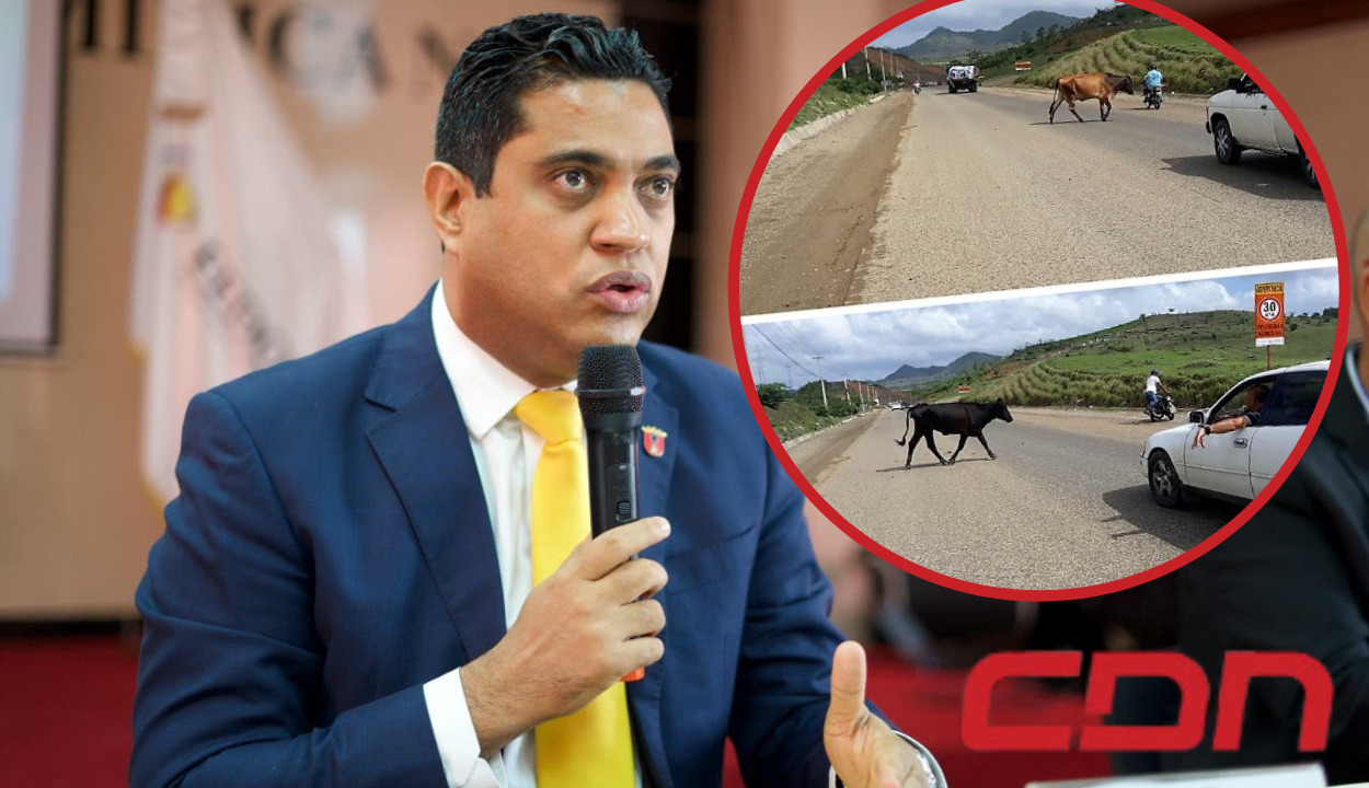 Kelvin Cruz, alcalde de la Vega que busca multar a dueños de animales que provoquen accidentes. Foto CDN Digital