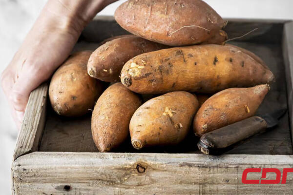 Conozca 3 beneficios que tiene consumir batata para la salud. Foto: fuente externa.