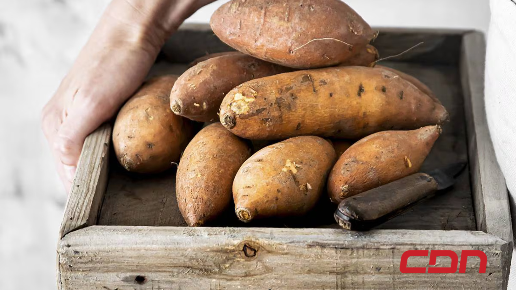 Conozca 3 beneficios que tiene consumir batata para la salud. Foto: fuente externa.