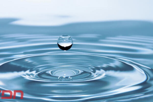 Día Mundial del Agua. Foto: CDN Digital
