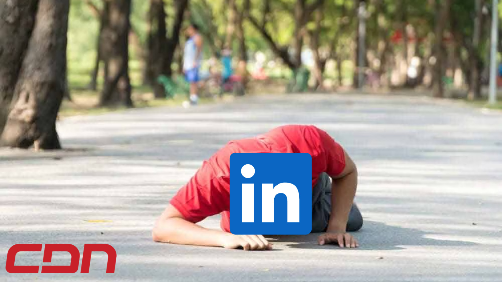LinkedIn, la red social orientada al uso empresarial retoma sus conexiones. Foto: CDN Digital