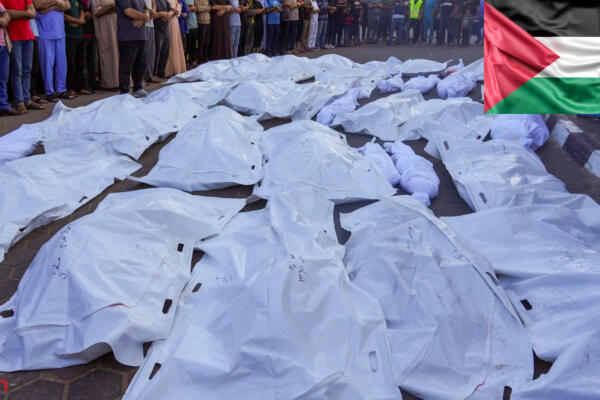Muertos en la Franja de Gaza. Foto: Fuente externa 