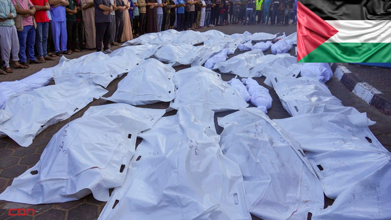 Muertos en la Franja de Gaza. Foto: Fuente externa
