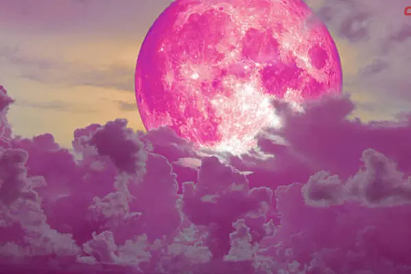 La Luna llena o Luna Rosa. Foto: Fuente externa 