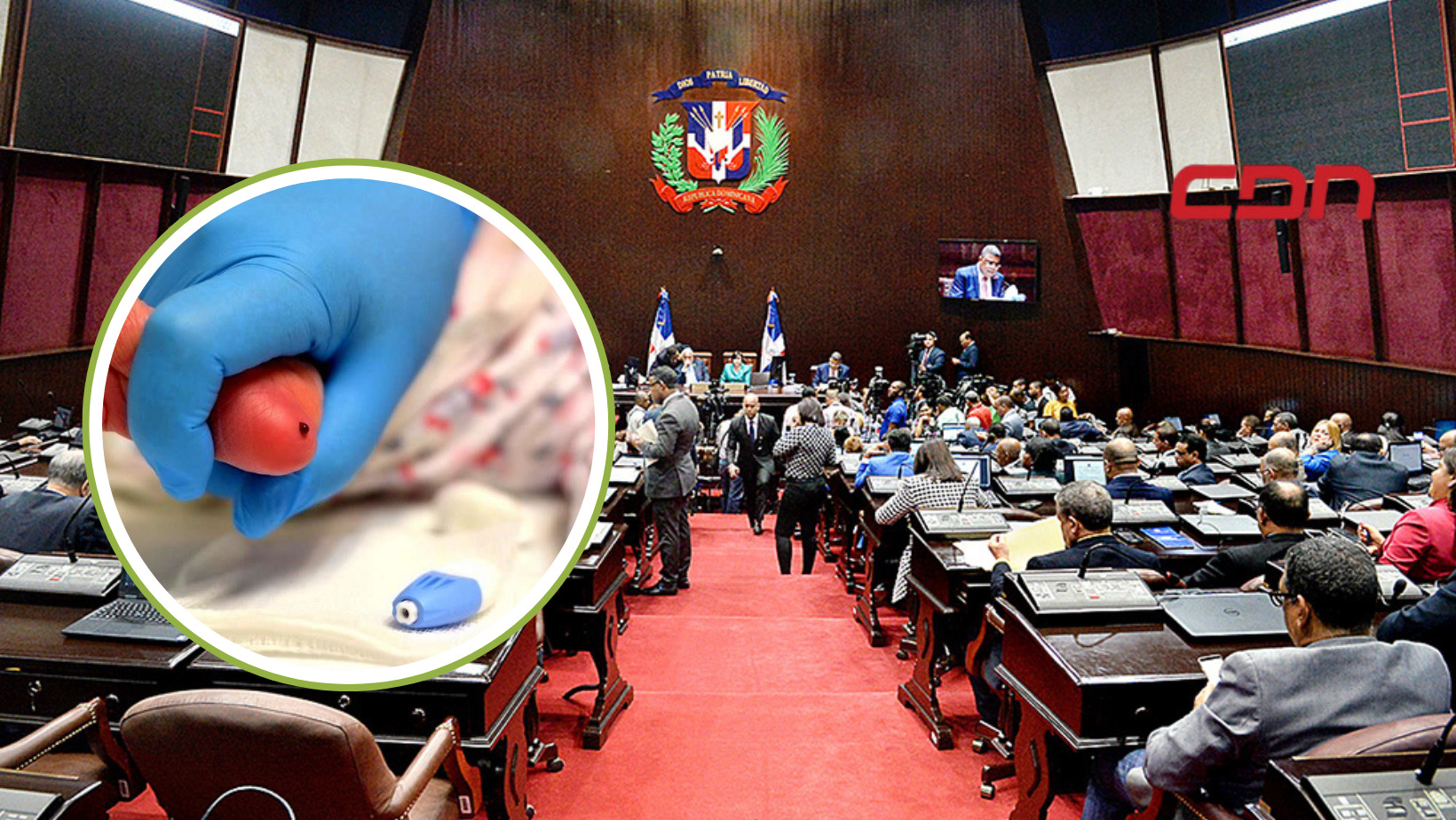 Diputados aprueban en primera lectura realización tamizaje neonatal para detección temprana de enfermedades
