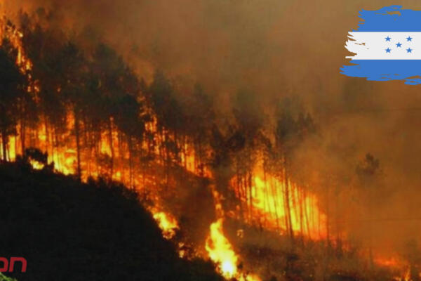 Los incendios forestales afectan a 63.433 hectáreas en Honduras. Foto: CDN Digital