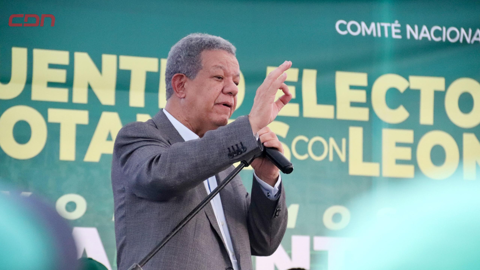 El candidato presidencial del partido Fuerza del Pueblo, Leonel Fernández. Foto: Fuente externa