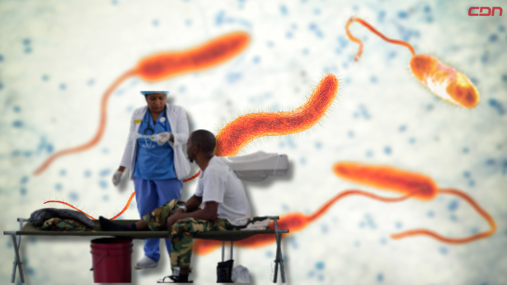 Brote mundial de cólera, según la OMS. Foto: CDN Digital