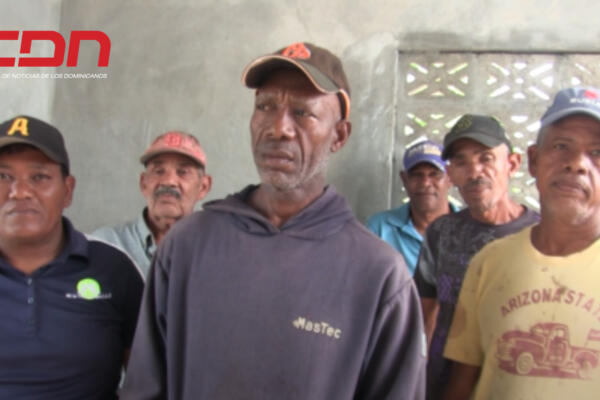 Agricultores del proyecto agrícola Finca 1 en Azua. Foto CDN Digital
