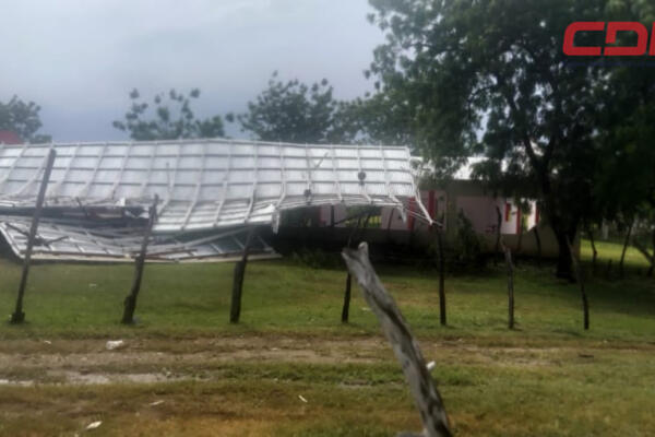 Árboles, postes del tendido eléctricos  y vallas publicitarias caídos por fuerte tornado. 