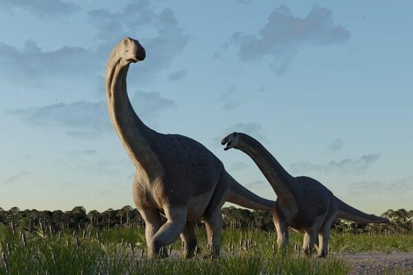Científicos argentinos descubren nuevo titanosaurio que llegó a pesar unas siete toneladas