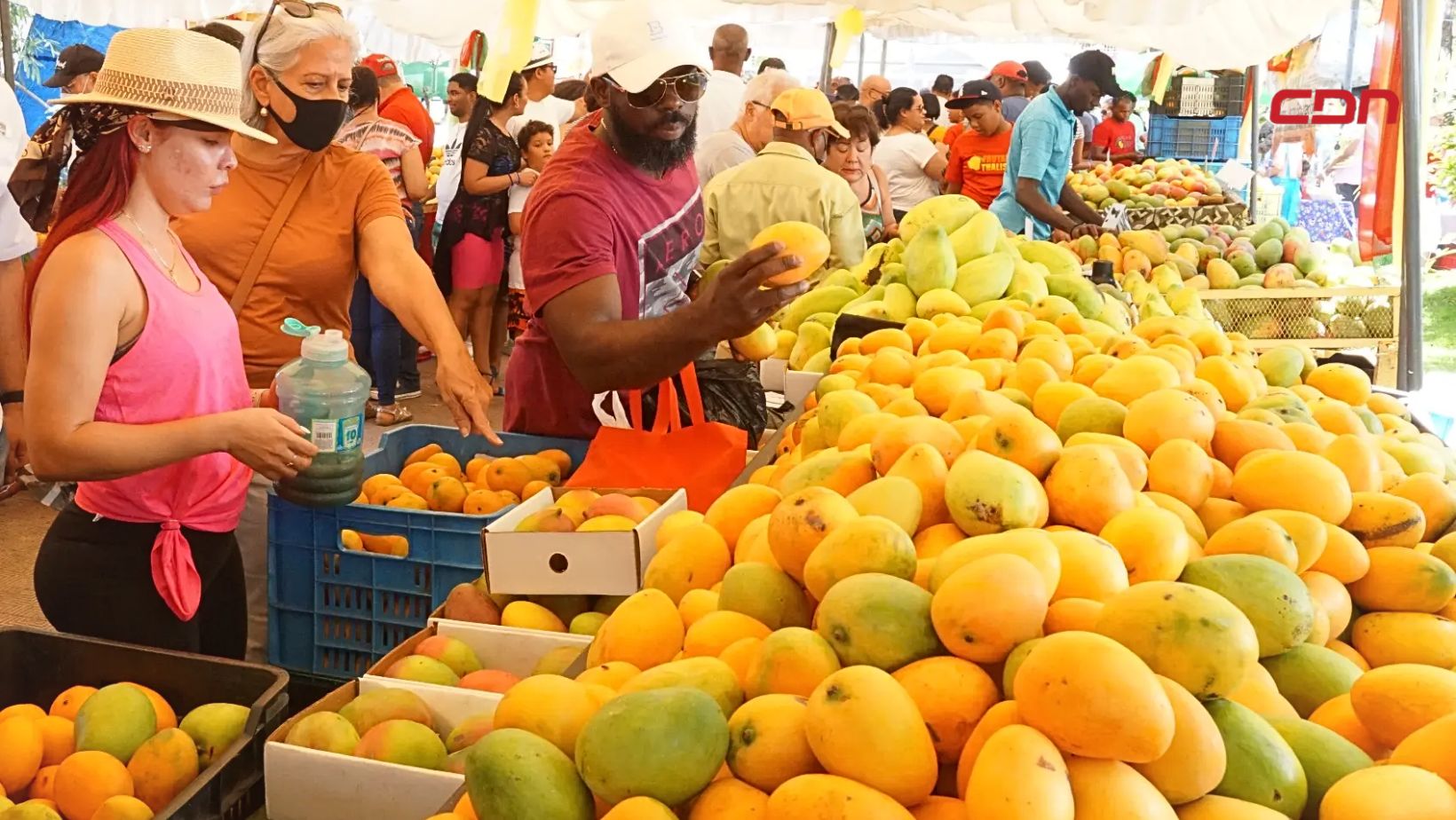 Inauguran Feria del Mango 2024