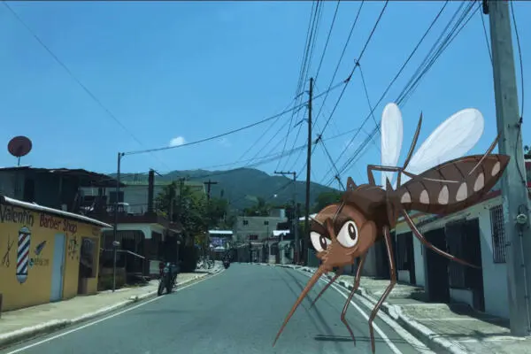 Brote de dengue en el distrito municipal Juan Adrián. Foto: CDN Digital