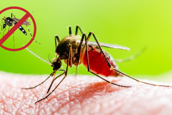 Medidas para prevenir la malaria en tu hogar y zonas comunitarias.