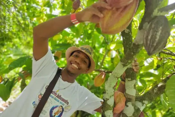 Hato Mayor vive un renacer en la producción del Cacao. (Foto: fuente externa)