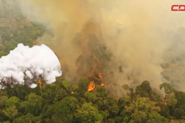 Emisiones de dióxido de carbono por incendios forestales. Foto: CDN Digital