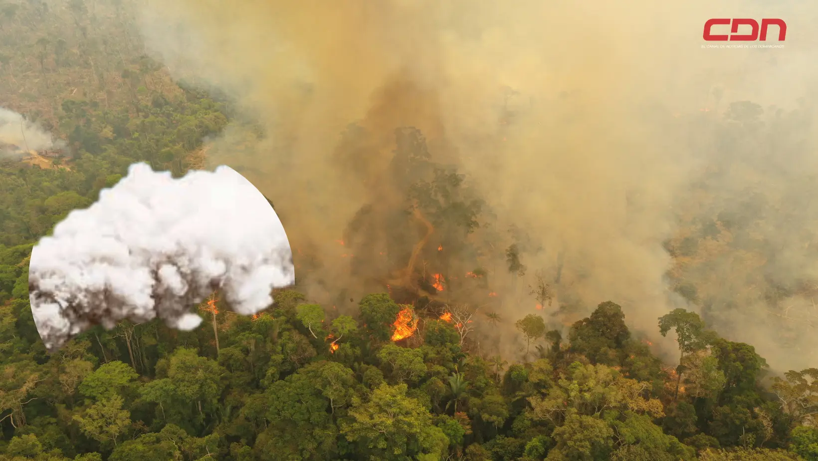 Emisiones de dióxido de carbono por incendios forestales. Foto: CDN Digital