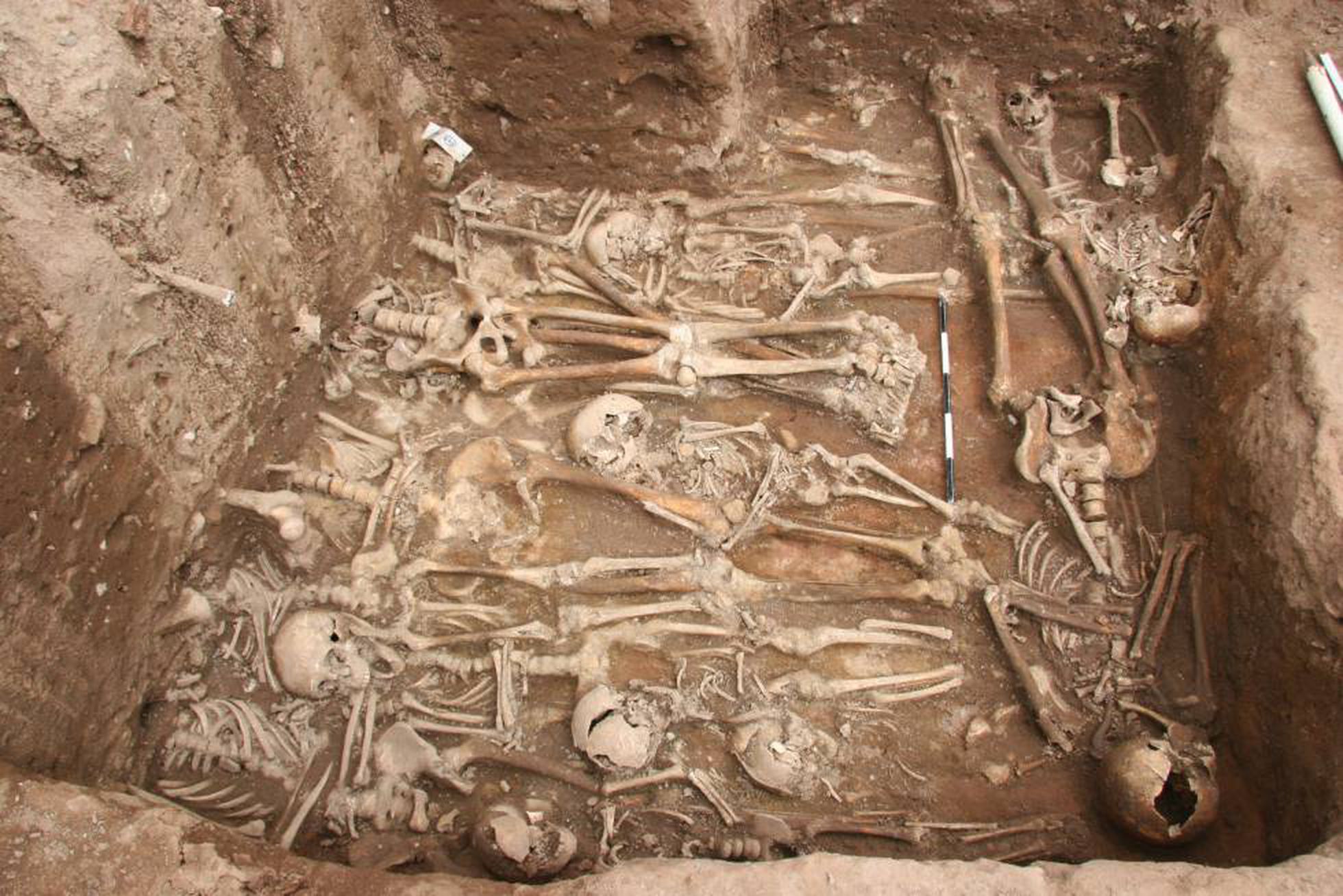 Encuentran bacteria que causó la peste negra en un esqueleto de 5.000 años