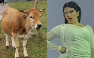 Vaca imita gesto de Rosalía en el Motomami World Tour