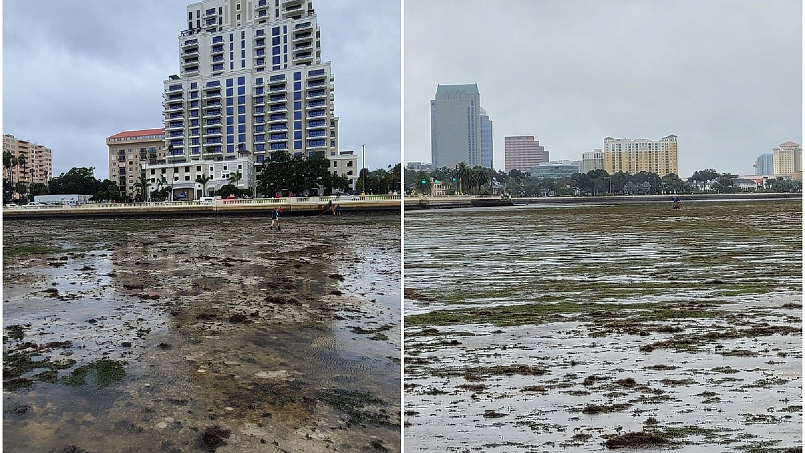 Huracán Ian deja sin agua a la bahía de Tampa