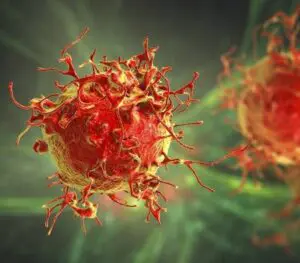 Células cancerosas. Fuente Externa
