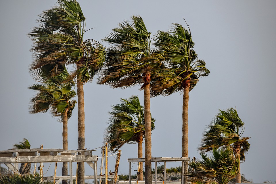 Ante temporada huracanes, exhortan a empresas a revisar preparación
