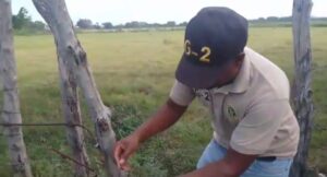 Ejército investiga denuncia de robo de ganado en comunidad de Dajabón