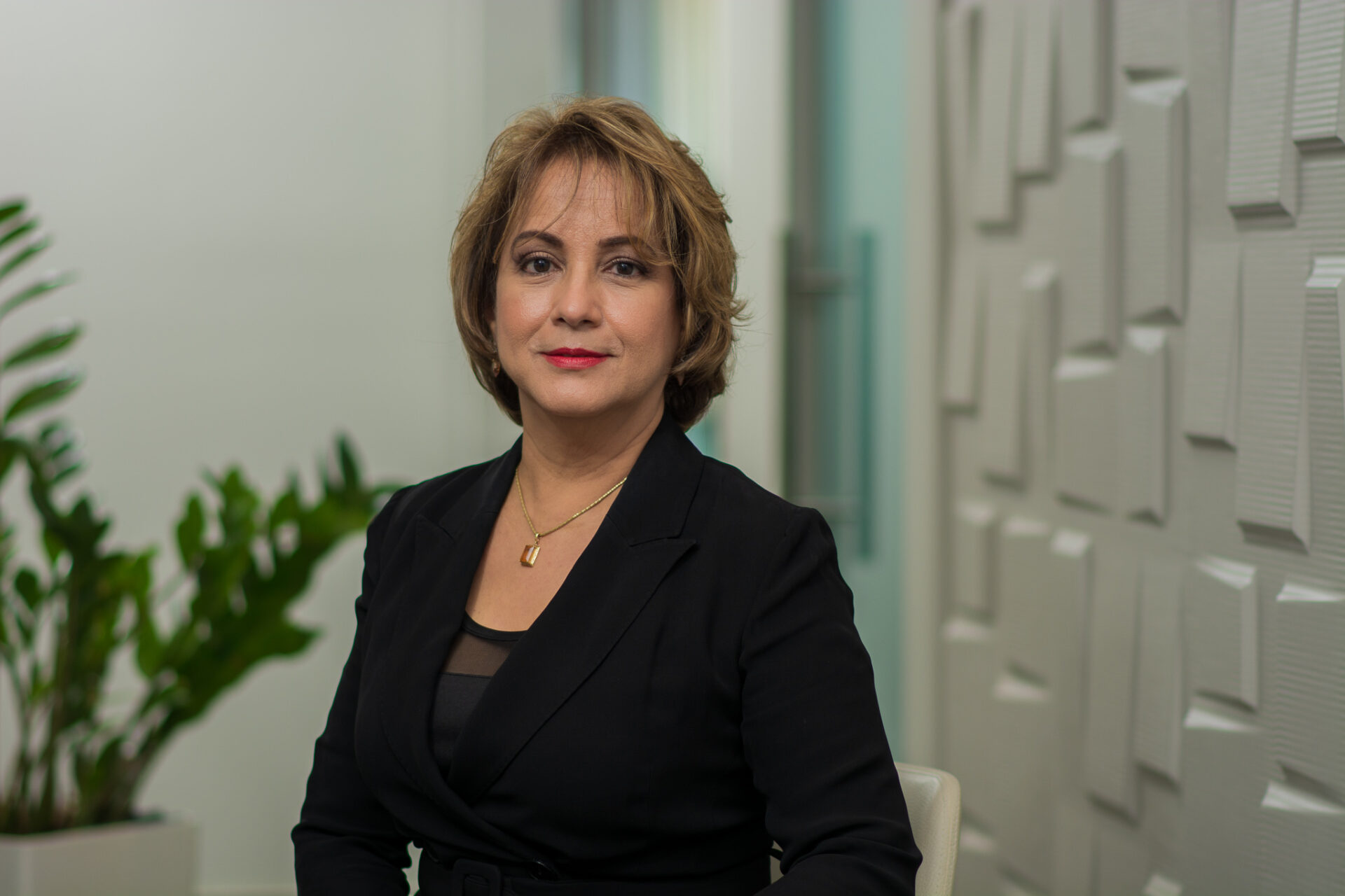Kirsis Jáquez, presidenta ejecutiva ADAFP