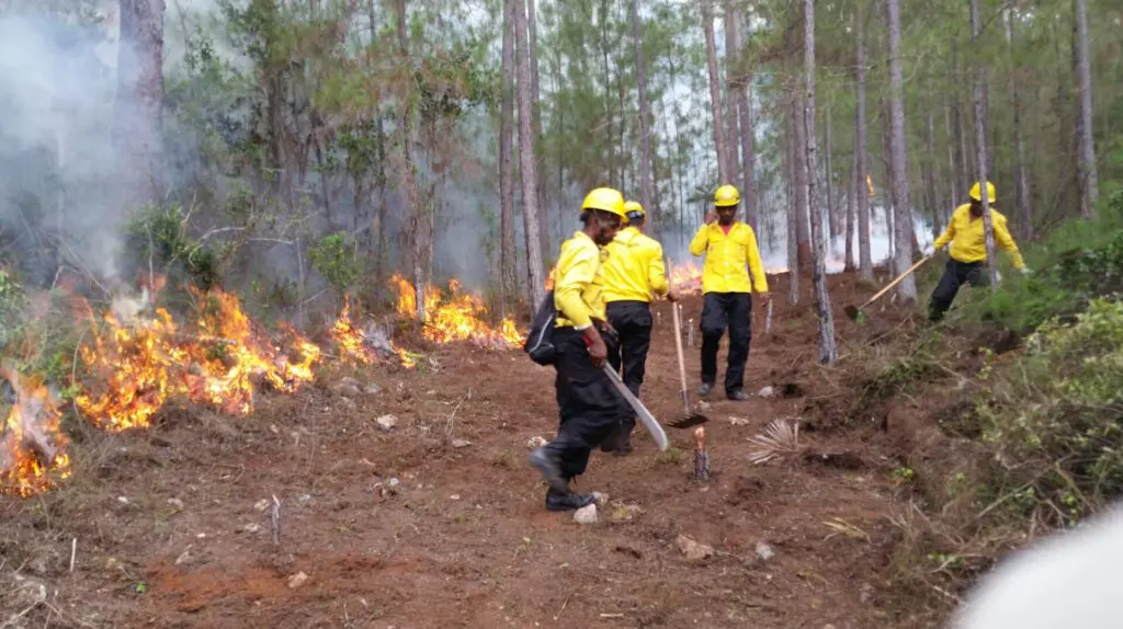 RD entra a temporada alta de incendio forestales este mes